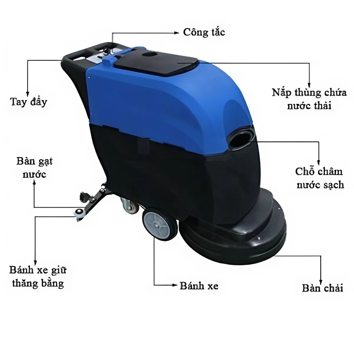 Cấu tạo máy chà sàn công nghiệp gồm motor chà, pad chà và hệ thống hút nước